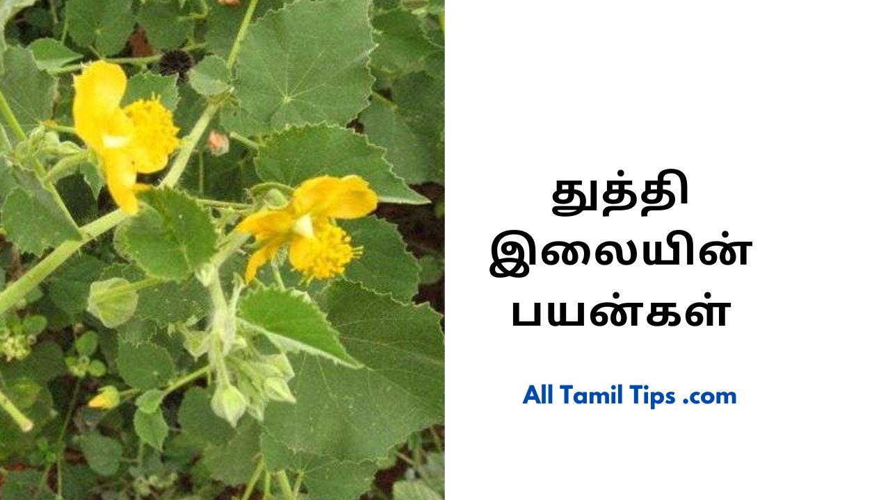 tamil-tips